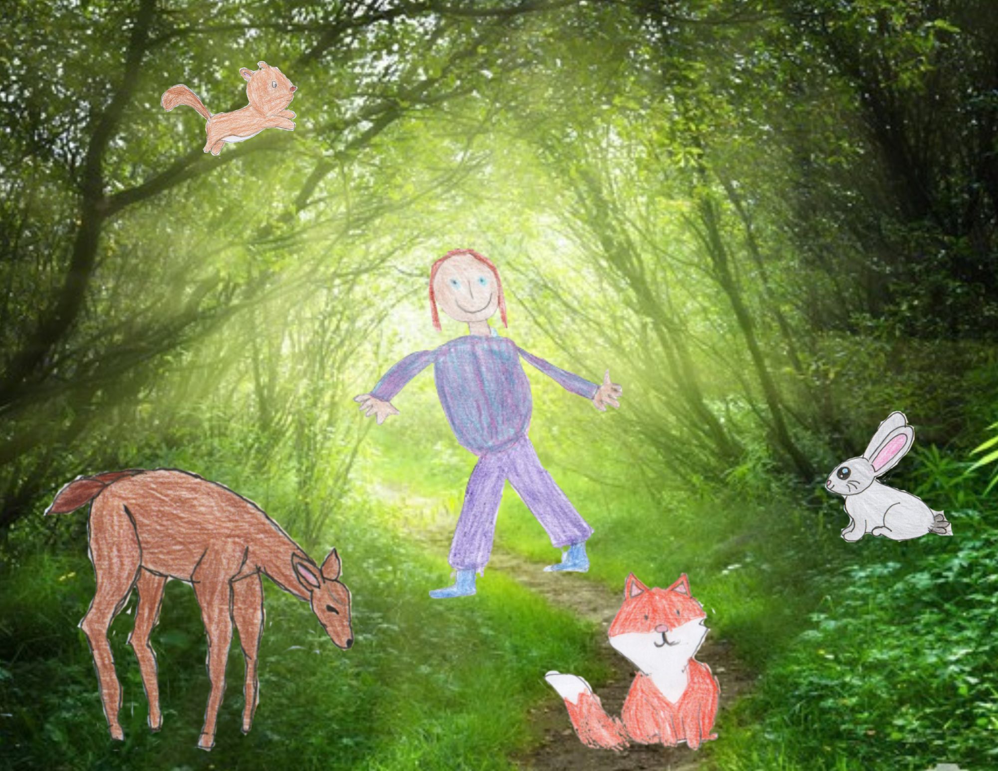 Illustration d'Aniela et les animaux sauvages